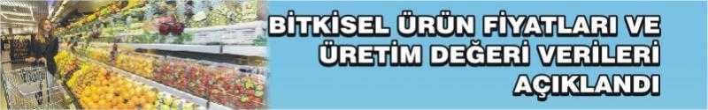 Bitkisel Ürün Fiyatları Ve Üretim Değeri Verileri Açıklandı