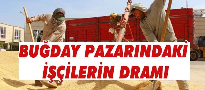  Buğday Pazarındaki İşçilerin Dramı