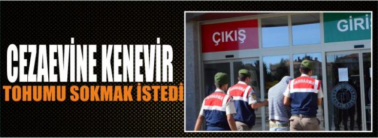 Cezaevine Kenevir Tohumu Sokmak İstedi