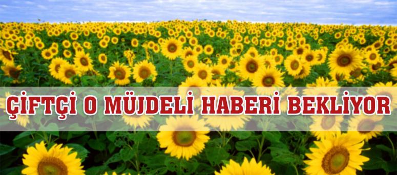 ÇİFTÇİ O MÜJDELİ HABERİ BEKLİYOR