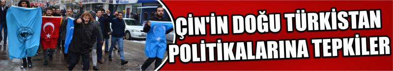 Çin'in Doğu Türkistan Politikalarına Tepkiler