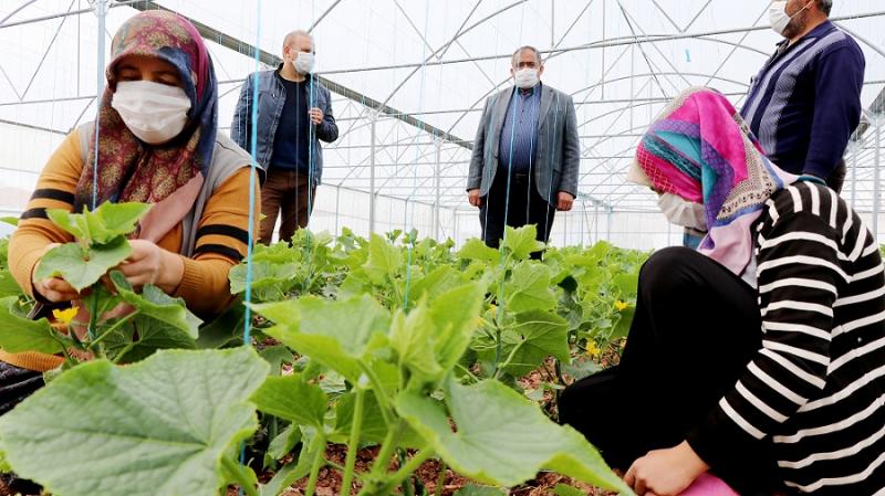 Devlet Desteğiyle Üretim Sürüyor, Ülke Kazanıyor