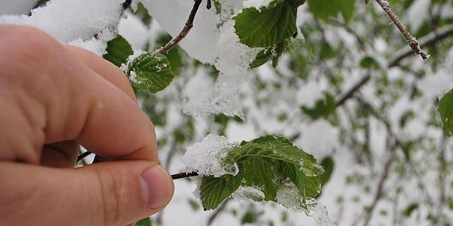 Meteoroloji'den Yoğun Kar Yağışı Ve Zirai Don Uyarısı