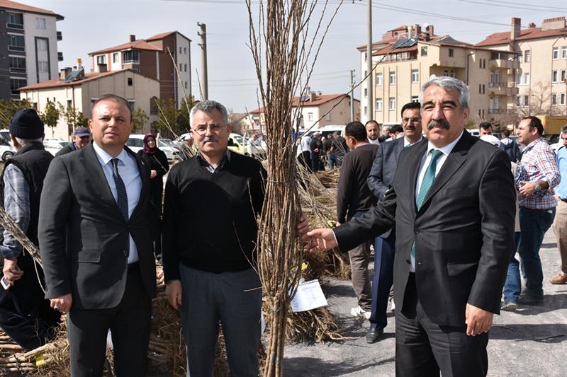 19 Bin 150 Meyve Fidanı Dağıtıldı