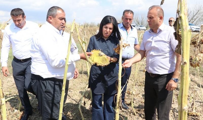 Milletvekili İnceöz, “Çiftçilerimizin Yaralarını Bir An Önce Saracağız ”