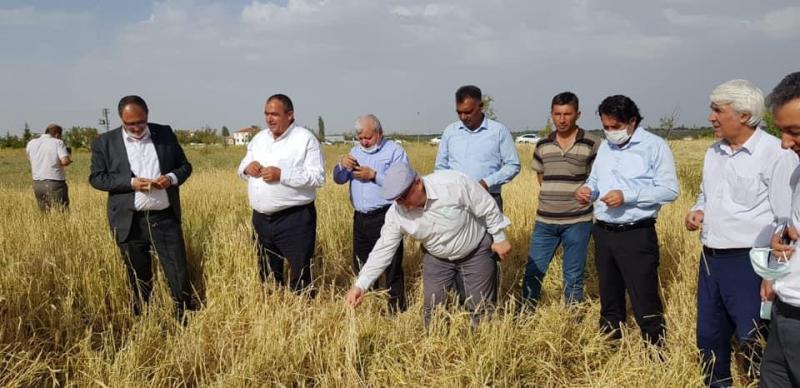 Mhp Heyeti Çiftçileri Ziyaret Etti"Hasar Bedeli Fondan Ödenmeli"