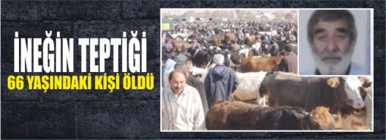 İneğin Teptiği 66 Yaşındaki Kişi Öldü