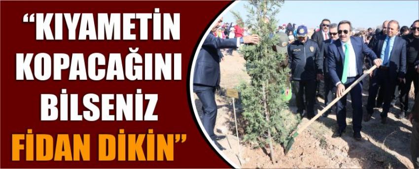  “Kıyametin Kopacağınıbilseniz Fidan Dikin”