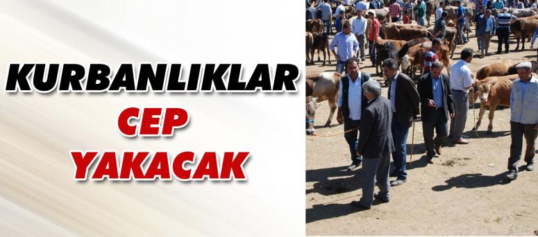 Kurbanlıklar Cep Yakacak