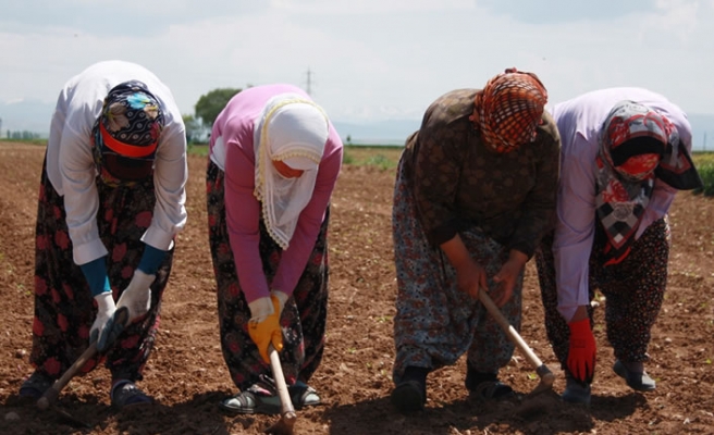 Mevsim Geçişlerindeki Eklem Ve Kas Ağrılarına Dikkat!