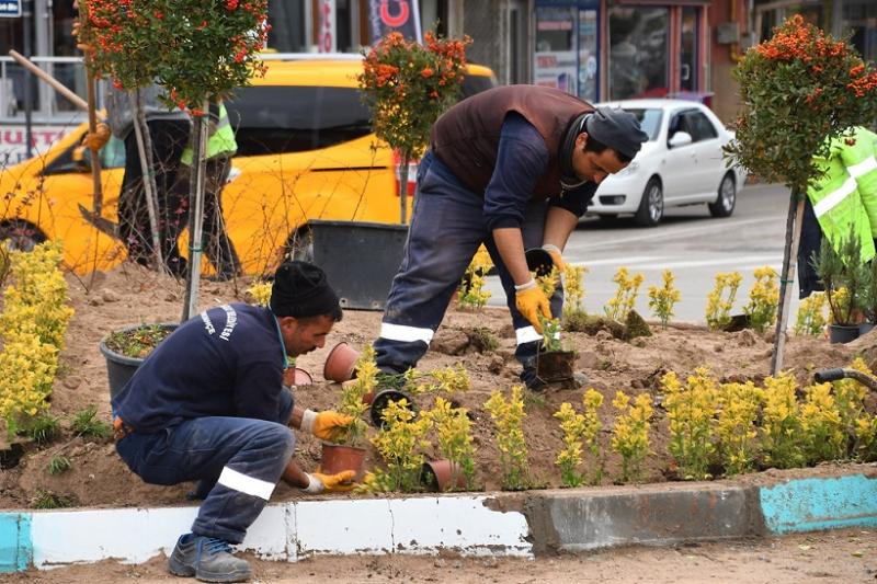 Orta Refüje Estetik Dokunuş