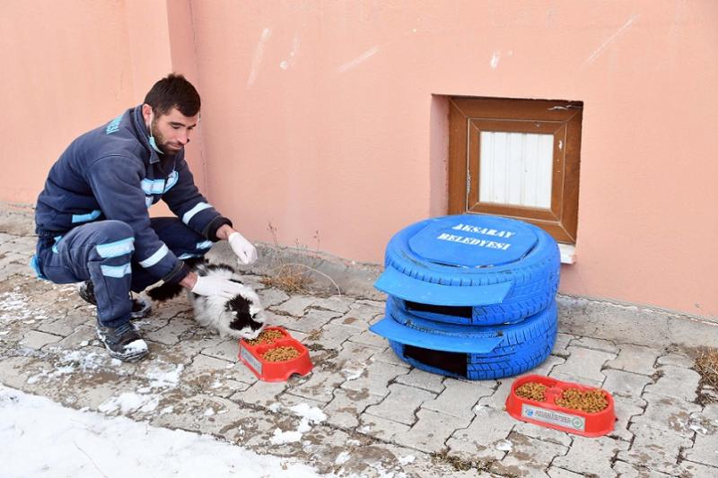 Sokak Hayvanlarına Sahip Çıkıyor