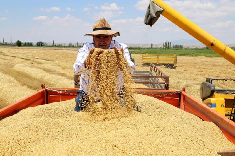 Sertifikalı Tohum Fiyatları El Yakıyor