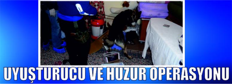 Narkotik Köpeği Manas Bu Kez Ortaköy'de İş Başında 