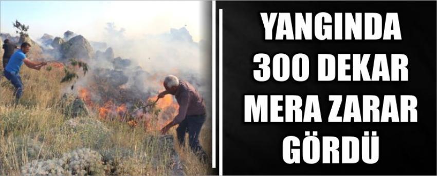 Yangında 300 Dekar Mera Zarar Gördü