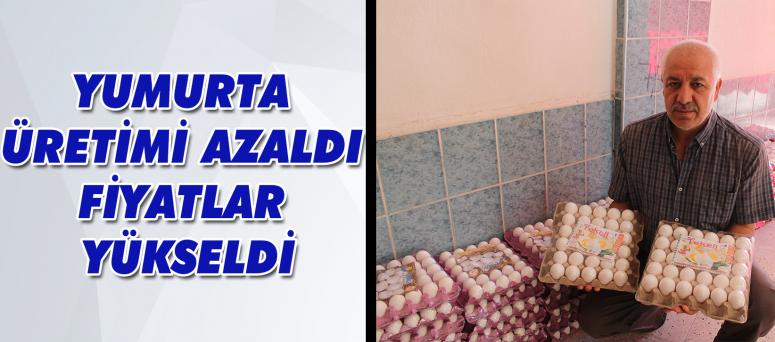 Yumurta Üretimi Azaldı Fiyatlar Yükseldi